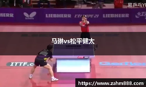 马琳vs松平健太