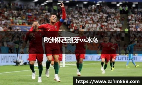 欧洲杯西班牙vs冰岛