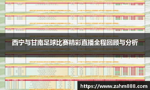 西宁与甘南足球比赛精彩直播全程回顾与分析
